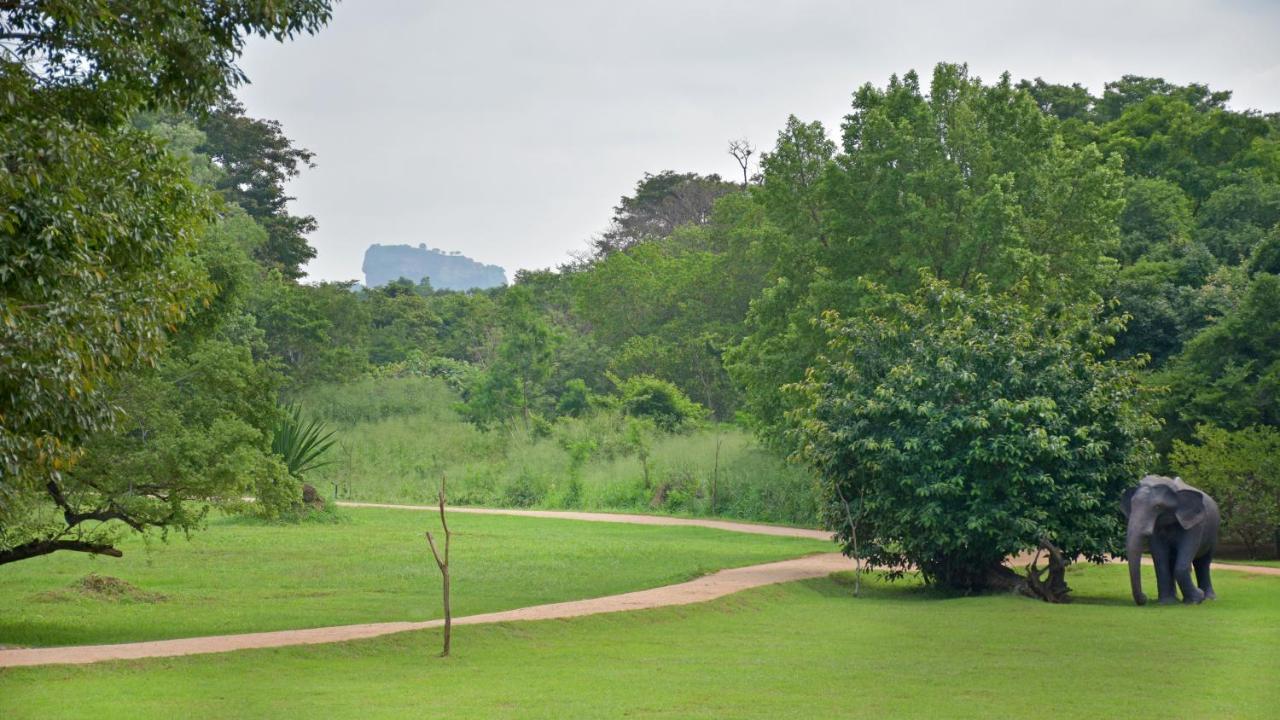 The Elephant Corridor Hotel Sigiriya Buitenkant foto